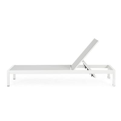 Chaise longue d'extérieur en aluminium Cape Coral (lot de 2) par Christopher Knight Home - 77,56 po x 25,20 po x 11,80 po