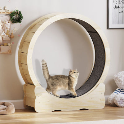 Moasis 43,3 pouces Grand tapis de course en bois pour chat avec roue d'exercice et piste recouverte de moquette